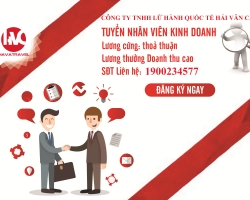 Hava Travel Tuyển Dụng Nhân Sự Tháng 04/2019