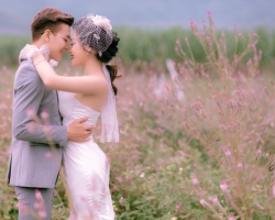 Cánh Đồng hoa mào gà, điểm chụp ảnh cưới mới tại Đà Nẵng