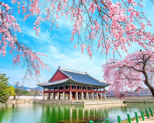 Nên Đi Du Lịch Hàn Vào Mùa Nào Đẹp Nhất Nhỉ 