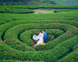 Kinh nghiệm du lịch Mộc Châu đầy đủ từ A-Z