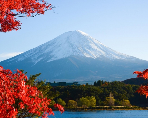 Tour Nhật Bản Mùa Thu 2025 – Ngắm Lá Đỏ Kyoto, Tokyo, Hokkaido