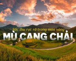 Mù cang chải có gì đẹp vào mùa thu