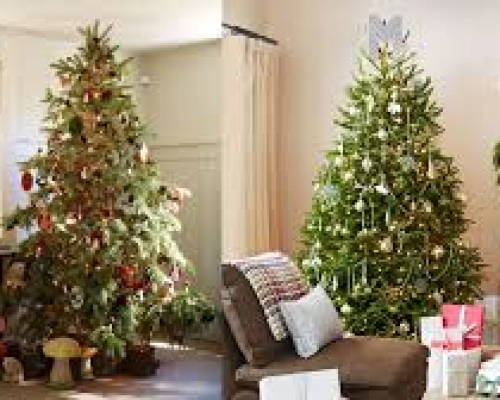 [TOP] Đơn vị trang trí noel cửa hàng trọn gói tại đà nẵng giá rẻ