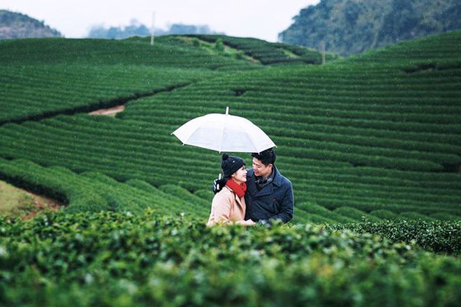 Tour [Hà Nội Mộc Châu 2N1Đ] khởi hành từ Đà Nẵng